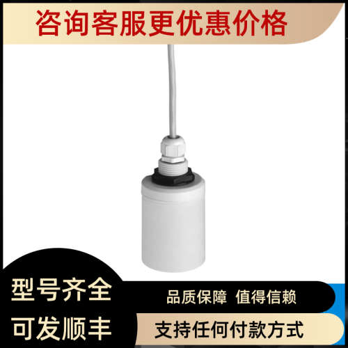 议价E+H声波液位计探头 FDU91-RG2AA 恩德斯豪斯Endress+Hauser