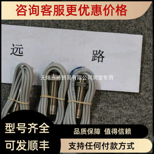 CAMAR传器TERMORESISTENZA PT100 OHM CL. B