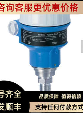 议价E+H电容物位计FMI51-A1BGEJB3B1A L=500mm液位探头传器