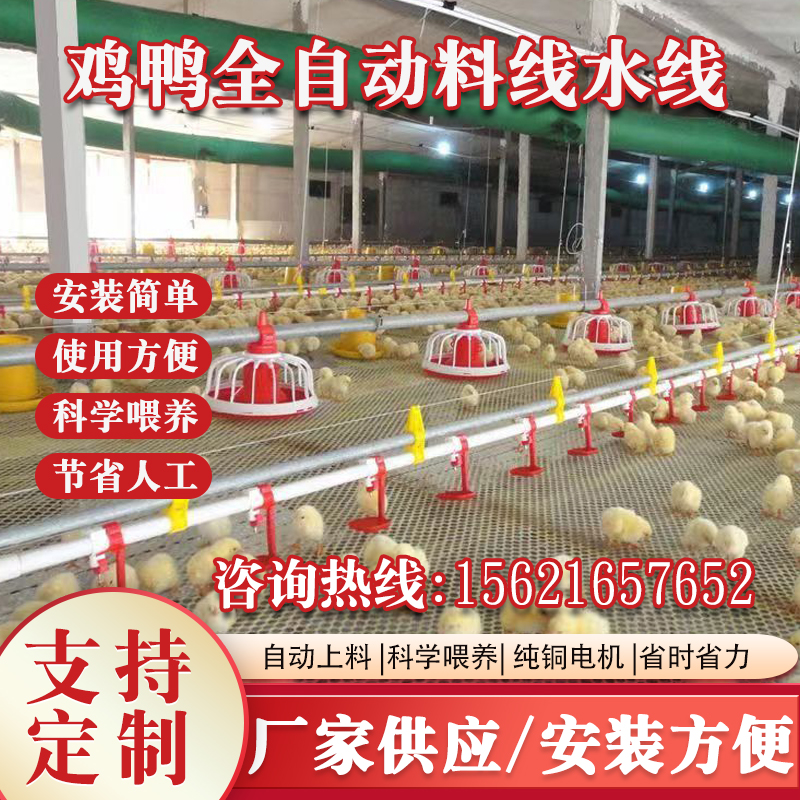 家禽养鸡场水线料线鸡鸭棚自动喂料机绞龙升降上料投料机料线饮水