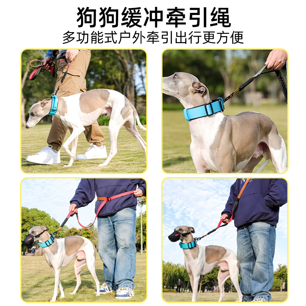 新款狗狗牵引绳 防爆冲反光宠物弹力绳中大型犬狗绳子遛狗绳