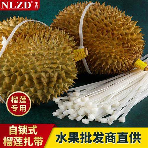 自锁尼龙扎带5x650扎榴莲扎带卡扣绑榴莲绳白色捆带黑色绑带