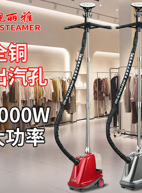 靓丽雅挂烫机商用服装店专用家用蒸汽蒸气熨斗烫衣服立式大功率熨