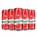 节日聚餐畅饮送礼 易拉罐装 大红乌苏啤酒500ml 5罐装