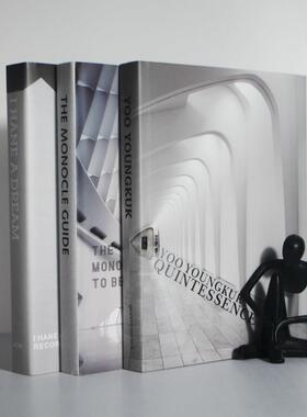 现代简约时尚样板房建筑艺术书拍摄道具办公室书柜装饰品摆件真书