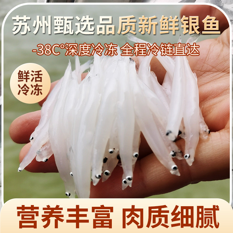 巢湖银鱼苏州银鱼新鲜淡水小银鱼鲜活冷冻包邮水产非太湖巢湖银鱼