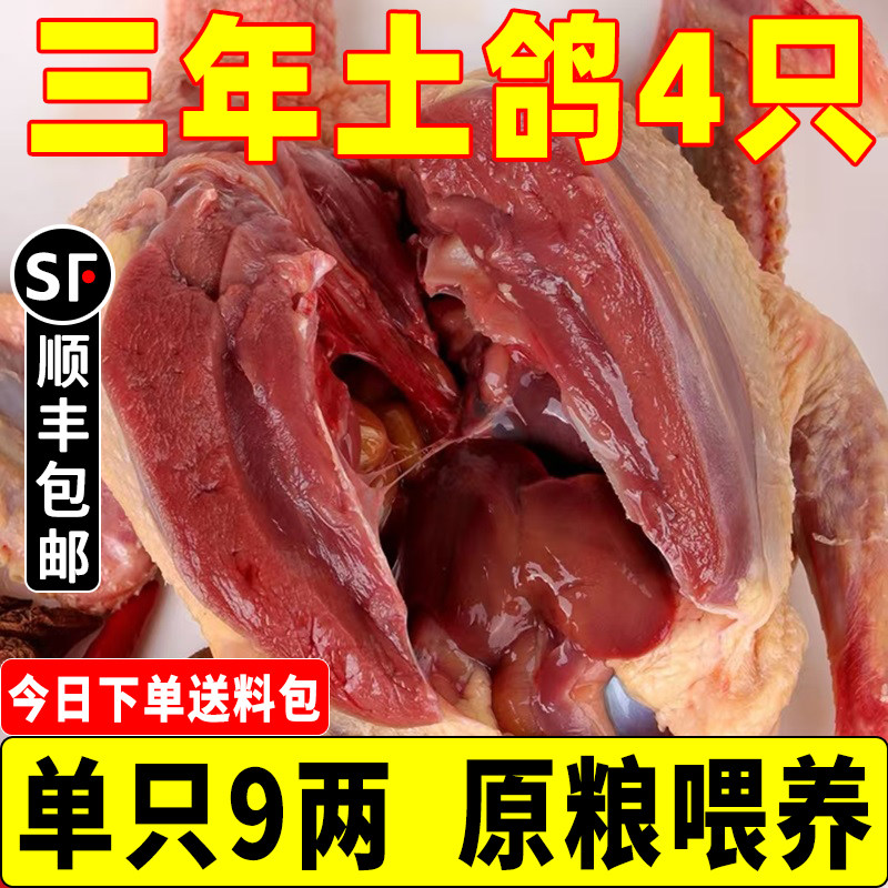 鸽子新鲜现杀冷冻乳鸽肉