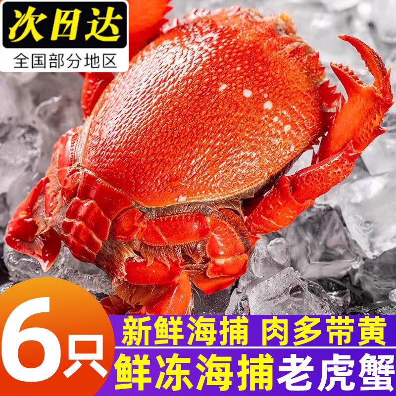 新鲜老虎蟹速冻虎头蟹旭蟹新鲜
