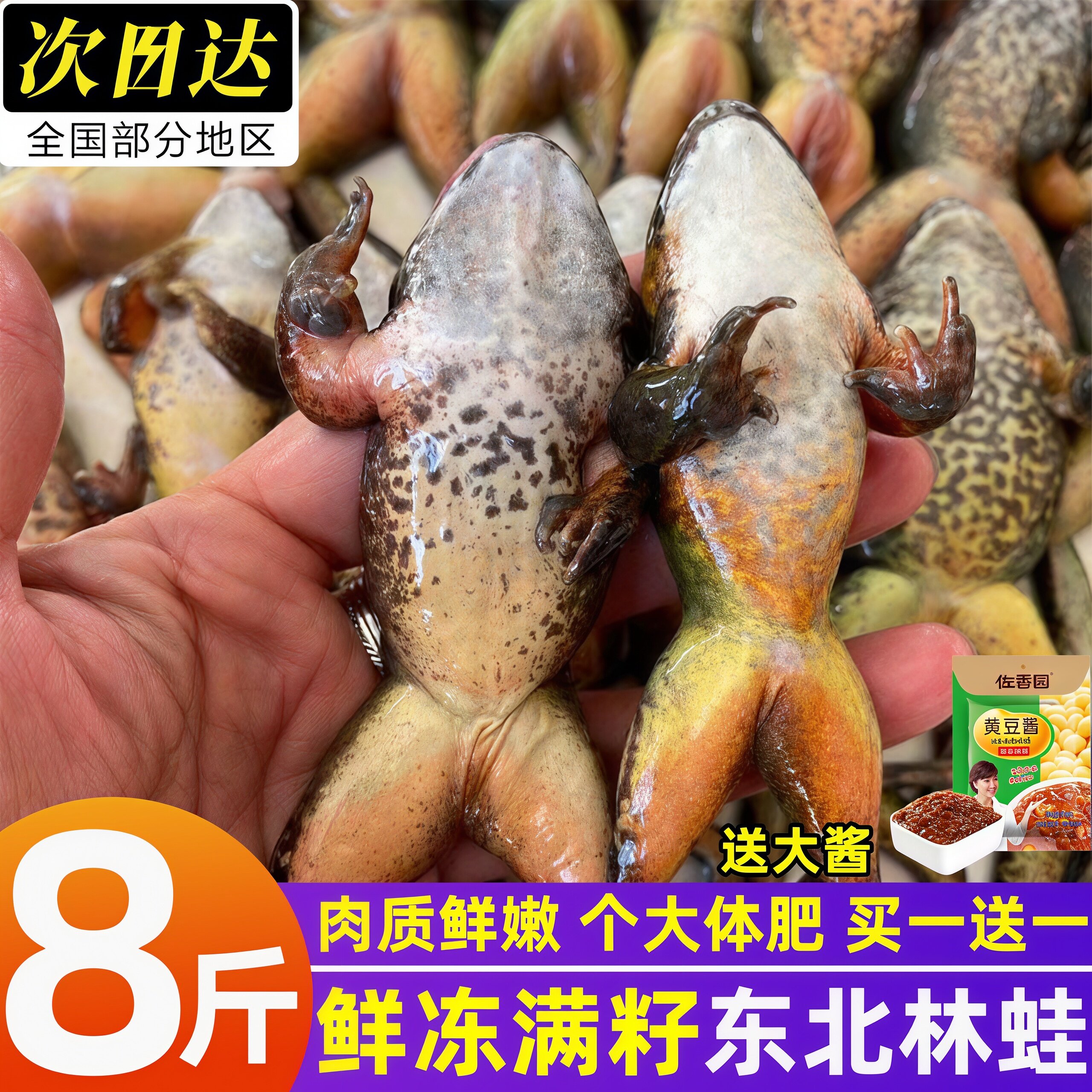 东北林蛙新鲜冷冻满籽满油商用