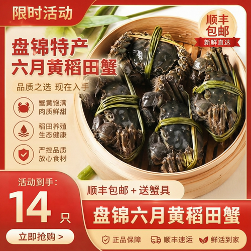 盘锦稻田鲜活现捞大闸蟹冷链包邮