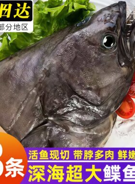 鲽鱼头深海新鲜鸦片鱼头新鲜冷冻