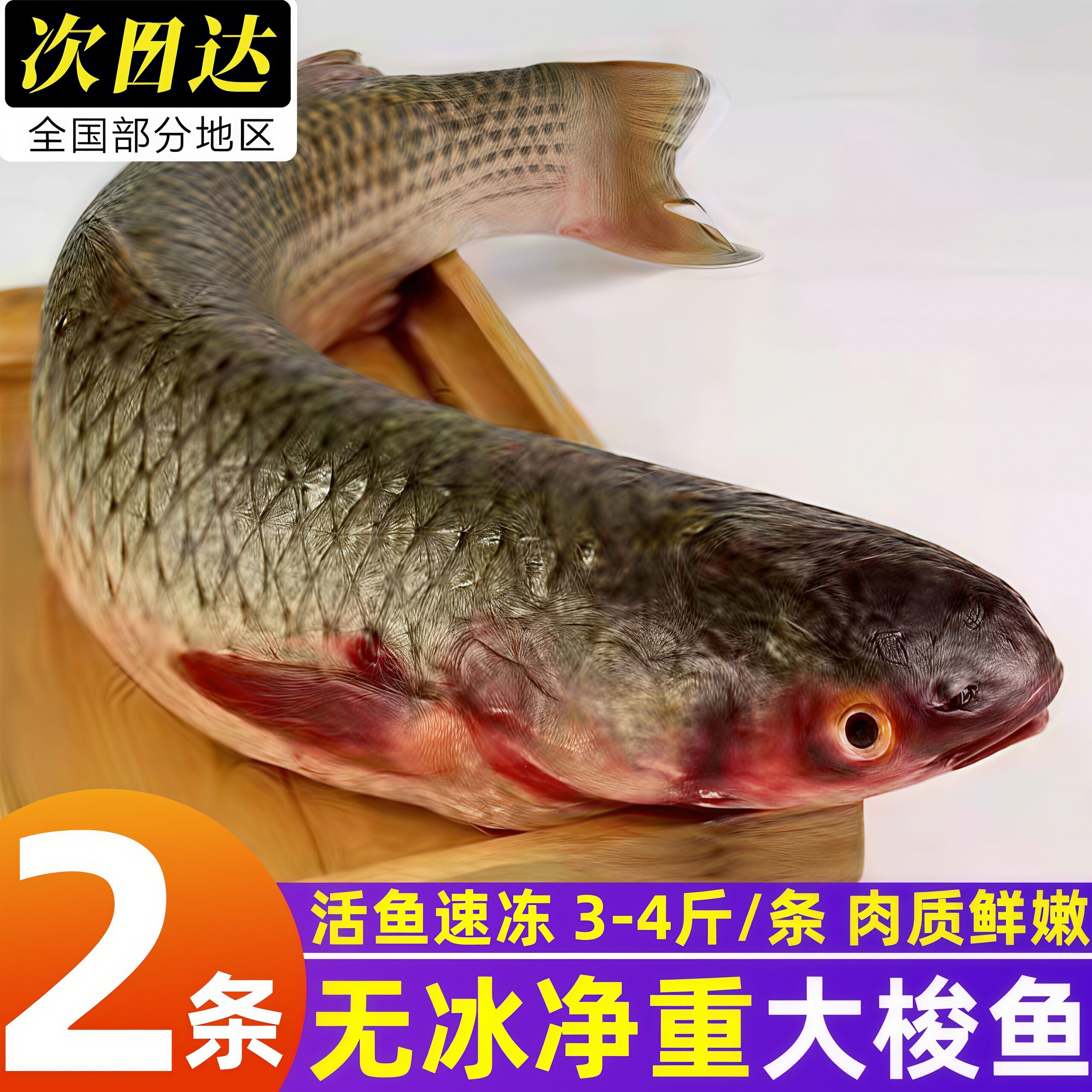 梭鱼新鲜冷冻支鱼海捕鱼海鲜水产
