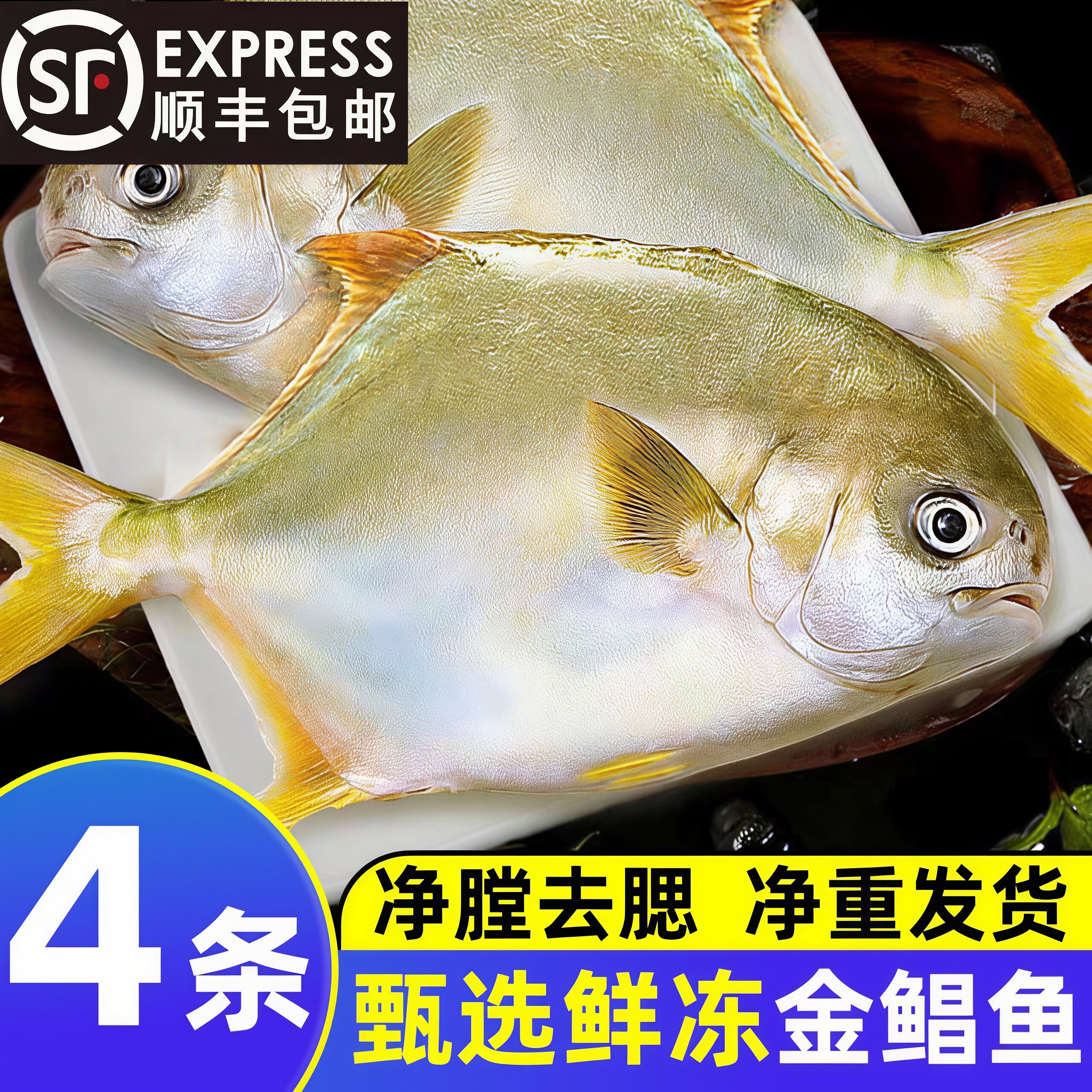 金鲳鱼新鲜鲳鱼鲜活速冻商用批发