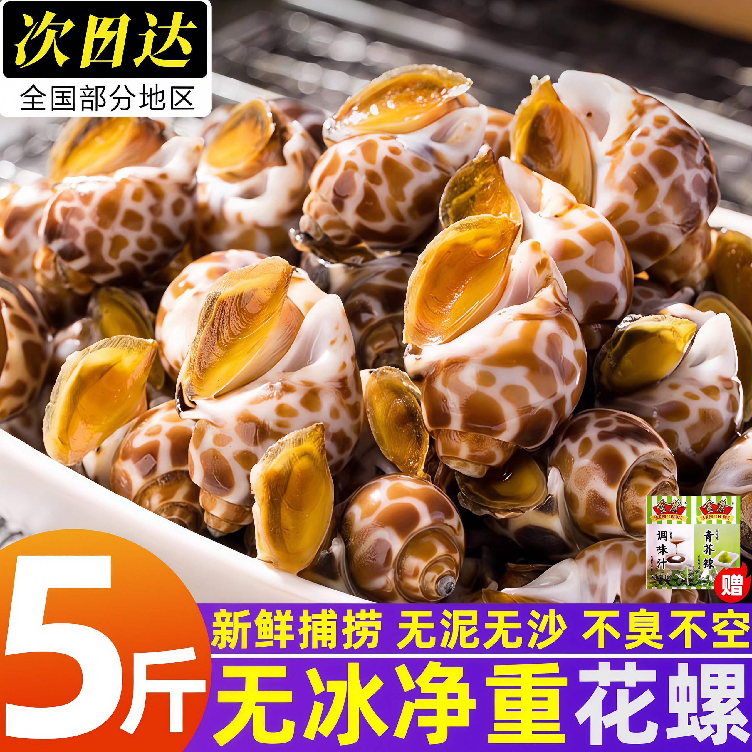 冷冻新鲜花螺东风螺猫眼螺