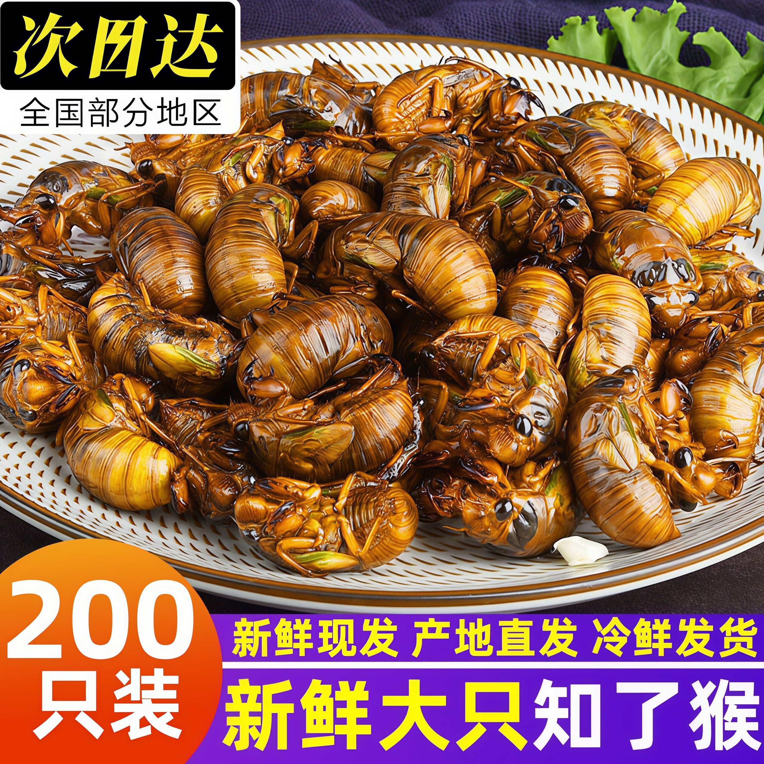 知了猴金蝉鲜活速冻商用