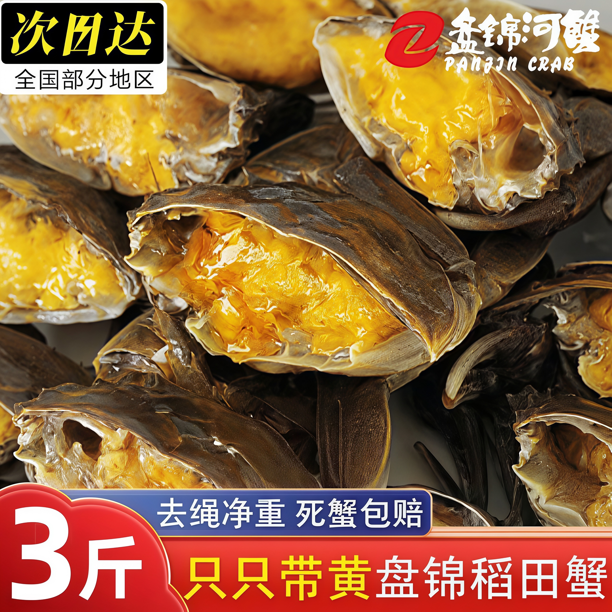 盘锦鲜活绒螯蟹大闸蟹全母包邮