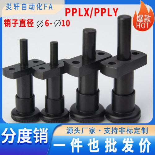 PPLY法兰型旋钮柱塞GN817.3e+g