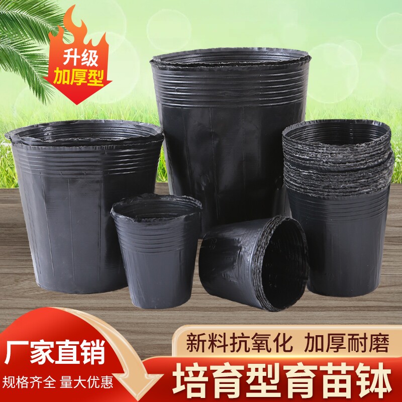 育苗营养杯育苗袋大号一次性花盆黑色种植塑料育苗杯育苗盆营养钵