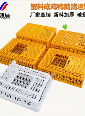 厂家直销塑料鸡笼 大号养殖成鸡鸭鹅鸽兔周转箱家禽周转筐运输笼