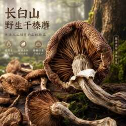 长白山榛蘑东北野生榛蘑蘑菇伊春榛蘑干袋装榛蘑干货蘑菇菌用