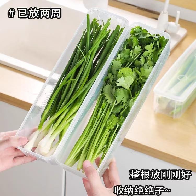 保鲜盒食品级大葱香菜芫