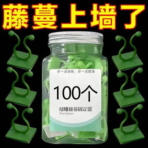 绿萝爬墙神器固定器绿植攀爬夹子