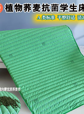 A类凉爽透气荞麦床垫学生宿舍用