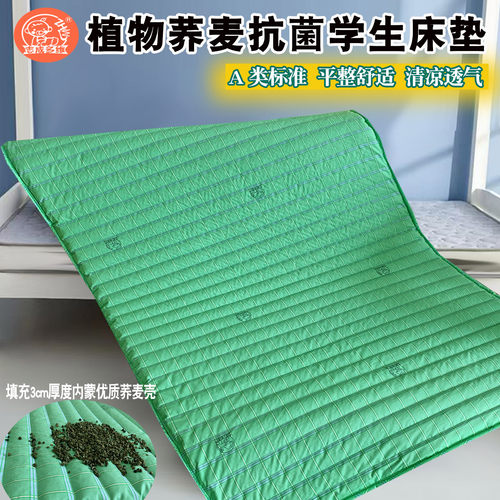 A类凉爽透气荞麦床垫学生宿舍用