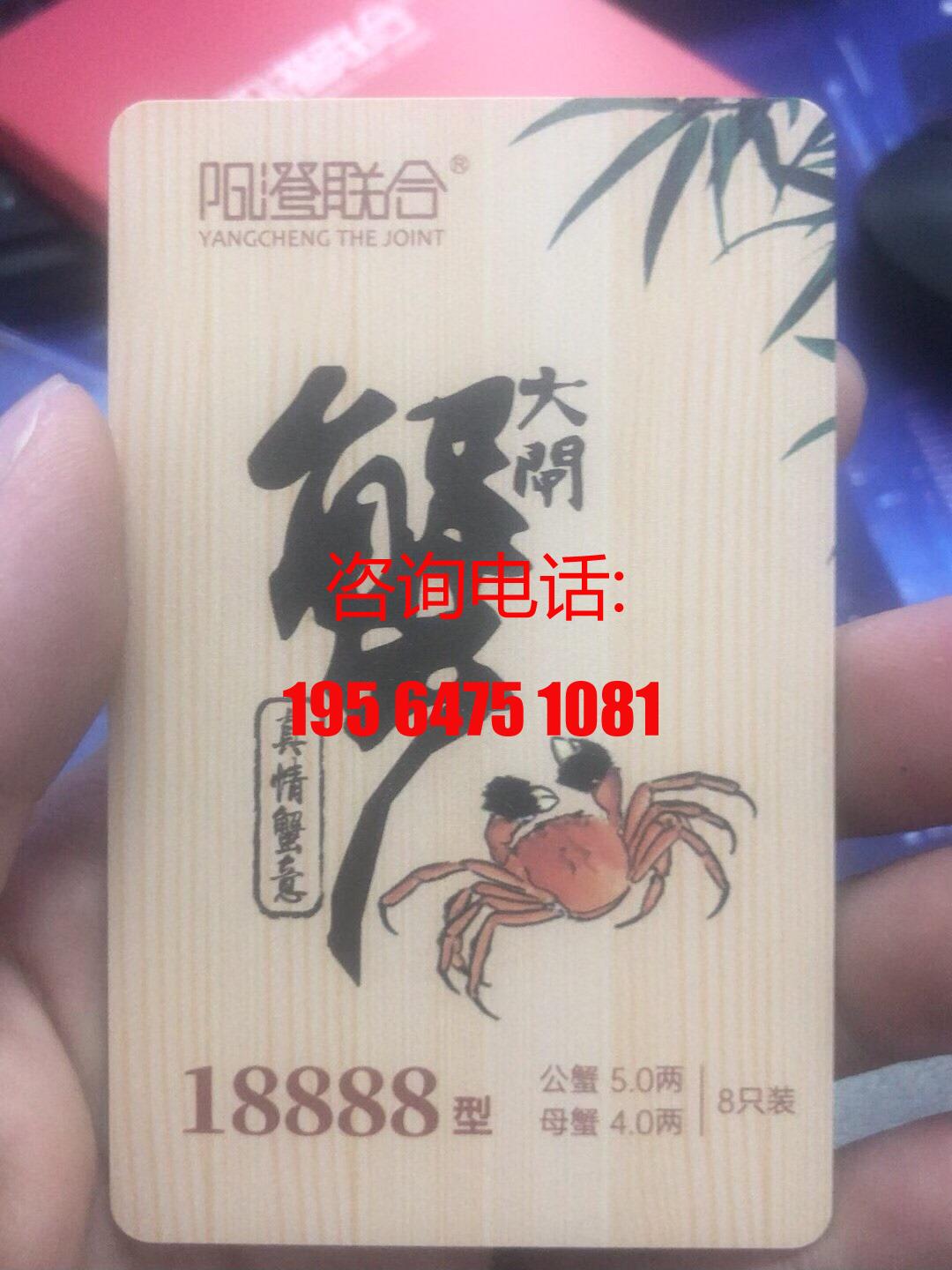 大闸蟹阳澄联合8888，公5两，母4两分别各4只，一全系列供应/议价