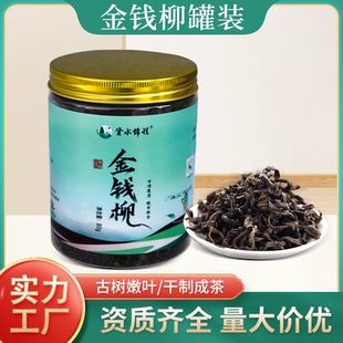 新茶金钱柳嫩芽叶茶花草茶适合煮 厂家直销青钱柳罐装 茶