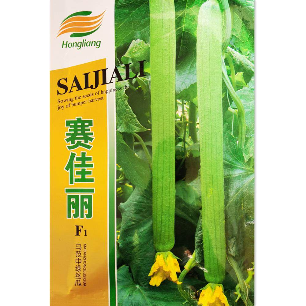 丝瓜种籽蔬菜子夏秋季苗赛