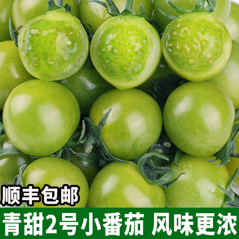 青甜2号绿色小番茄新鲜千