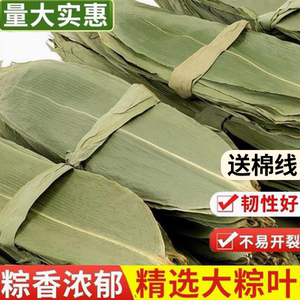 粽子叶干粽叶免邮大号新叶棕叶送绳包粽子的叶子端午干粽叶箬叶