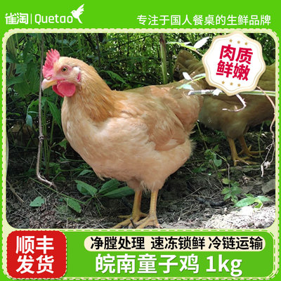 雀淘皖南童子鸡 慢养土鸡仔鸡新鲜鸡肉净膛处理净重2斤源头直发