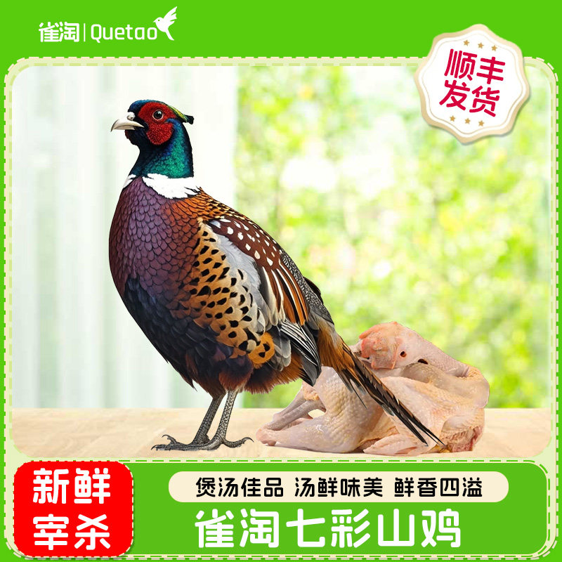 雀淘慢养七彩山鸡营养丰富月子鸡新鲜宰杀冷冻发货