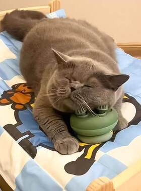 猫咪按摩头部神器宠物自动仪器