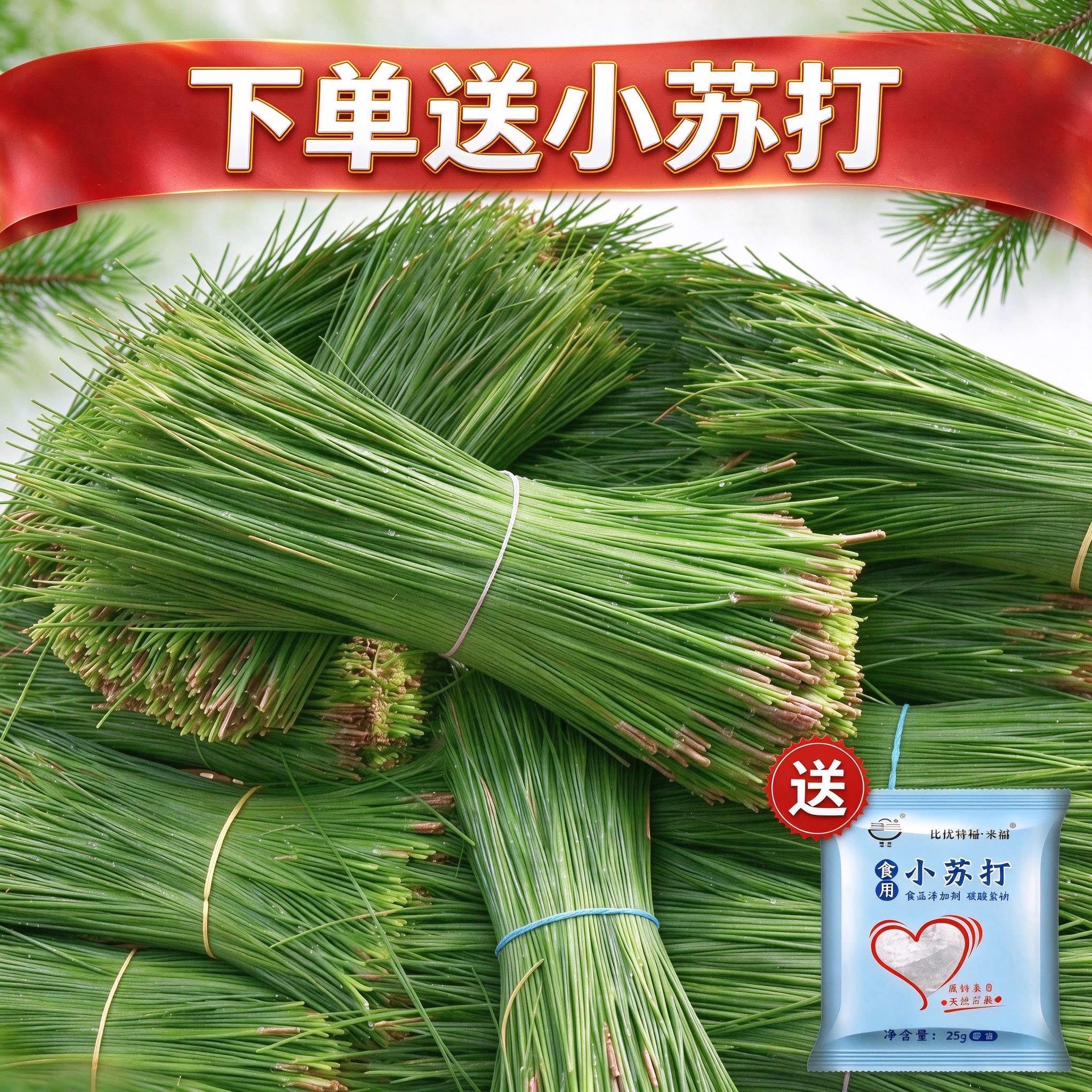 新鲜现摘松针叶江西老松树可做插画松针洗澡洗头蒸笼垫枕芯编织
