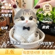 仿生水感猫咪捏捏猫硅胶解压女孩生日礼物小众实用感玩偶定制摆件