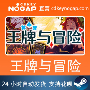 王牌与冒险 Steam正版激活码CDKey 全球Key Aces & Adventures