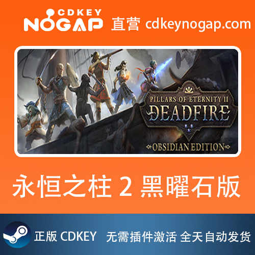 永恒之柱2死亡之火 黑曜石版Steam激活码Pillars of Eternity II