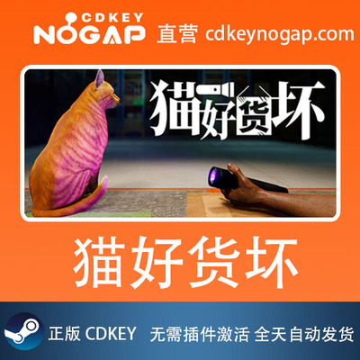 猫好货坏 Steam激活码CDkey ORDER 13