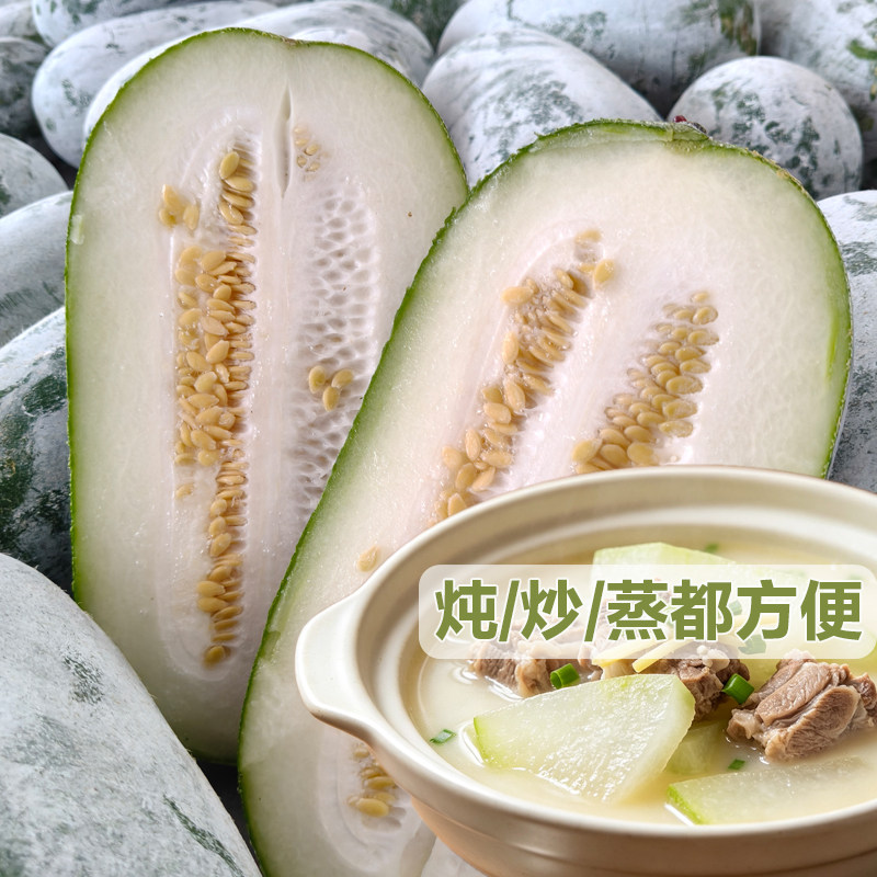 农家现摘挂霜小冬瓜批发