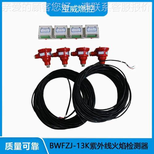 威燃控置24ZV开关量火焰检测装宝BWFZJ-1BWFJ-1K