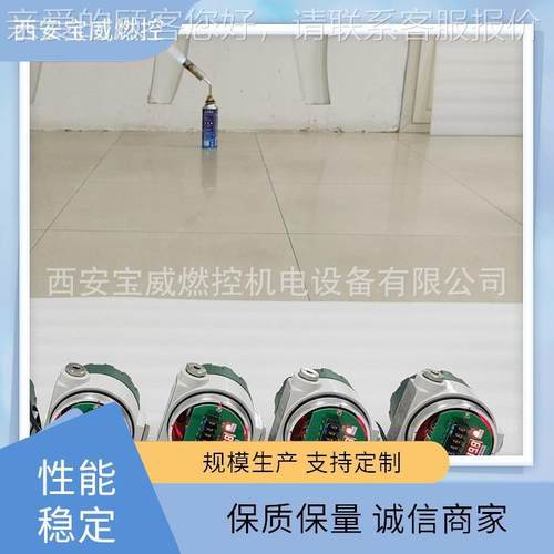 燃火炬防爆一化火焰B检测器WBWZJ-FTA体ZJ烧-FTA