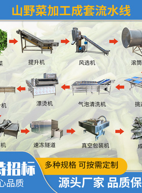 山野菜大型生产线机器 蕨菜气泡清洗机龙爪菜山苜揸清洗设备