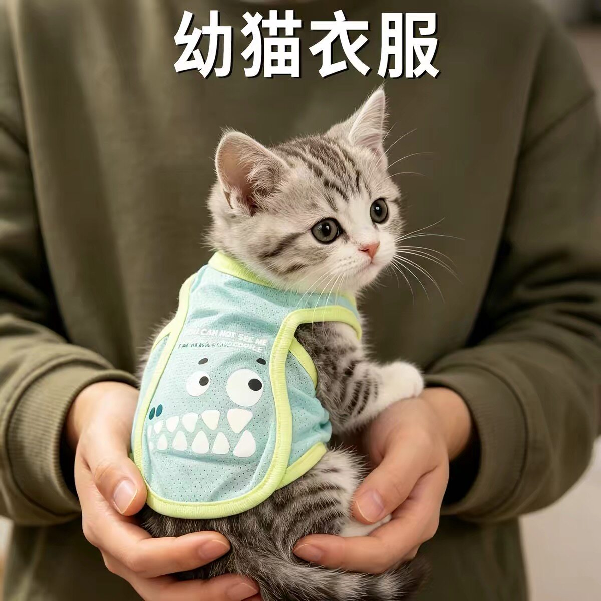 幼猫衣服猫咪小奶猫夏季凉凉衣