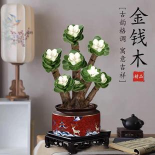 易养活花 金钱木老桩多肉植物绿植室内盆栽客厅花卉办公室桌面四季