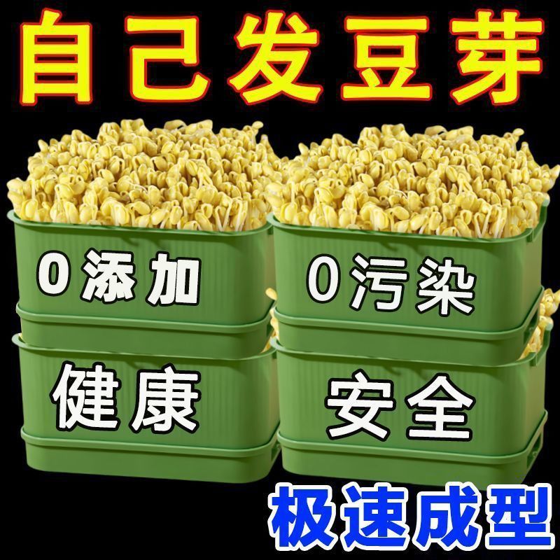 2025新款家用發豆芽神器
