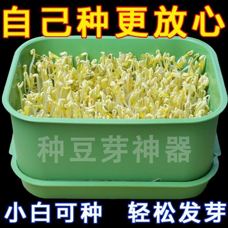發豆芽神器超大工具盆食品級