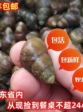新鲜螺钓青鱼石螺薄壳泥螺